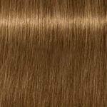 Schwarzkopf Professional Igora Royal Absolutes Permanent Haarfarbe 60ml 9-460