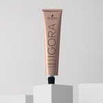 Schwarzkopf Professional Igora Royal Absolutes Permanent Haarfarbe 60ml 6-60