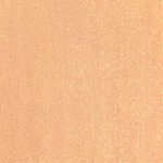 Andreia Professional Gel Polish Gellack - I Do! - ID3 Champagner-Nude mit Goldglanz. 10.5ml