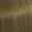 7/03 Mittelblond Natur-Gold
