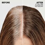 Wella Professionals Color Xpress - Vegan Xpress Touch-up mittelblond 7/