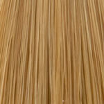 XP200 Natural Flair Permanent Haarfarbe 9.31 Lichtblond Gold Asch 100ml