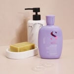 Alfaparf Milano Semi Di Lino Volume Sanftes Gl&auml;ttendes Shampoo 250ml