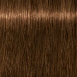 Schwarzkopf Professional Igora Royal Absolutes Permanent Haarfarbe 60ml 6-60