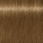 Schwarzkopf Professional Igora Royal Absolutes Permanent Haarfarbe 60ml 8-140