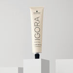 Schwarzkopf Igora Royal Silver Whites Permanent Haarfarbe 60ml Schiefergrau