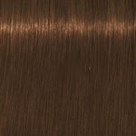 Schwarzkopf Professional Igora Royal Absolutes Permanent Haarfarbe 60ml 7-460