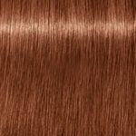 Schwarzkopf Professional Igora Royal Absolutes Permanent Haarfarbe 60ml 7-560