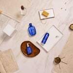 Alfaparf Milano Semi Di Lino Volume Sanftes Volumen-Shampoo 1L