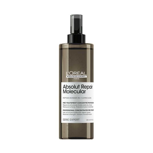 L'Or&eacute;al Professionnel Absolut Repair Molecular Reparaturvorbehandlung, 190ml