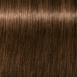 Schwarzkopf Professional Igora Royal Absolutes Permanent Haarfarbe 60ml 5-50