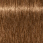 Schwarzkopf Professional Igora Royal Absolutes Permanent Haarfarbe 60ml 7-450