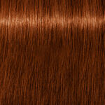 Schwarzkopf Professional Igora Royal Absolutes Permanent Haarfarbe 60ml 6-70