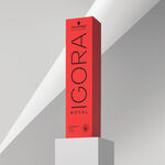 Schwarzkopf Professional Igora Royal Permanent Haarfarbe 60ml 3-0