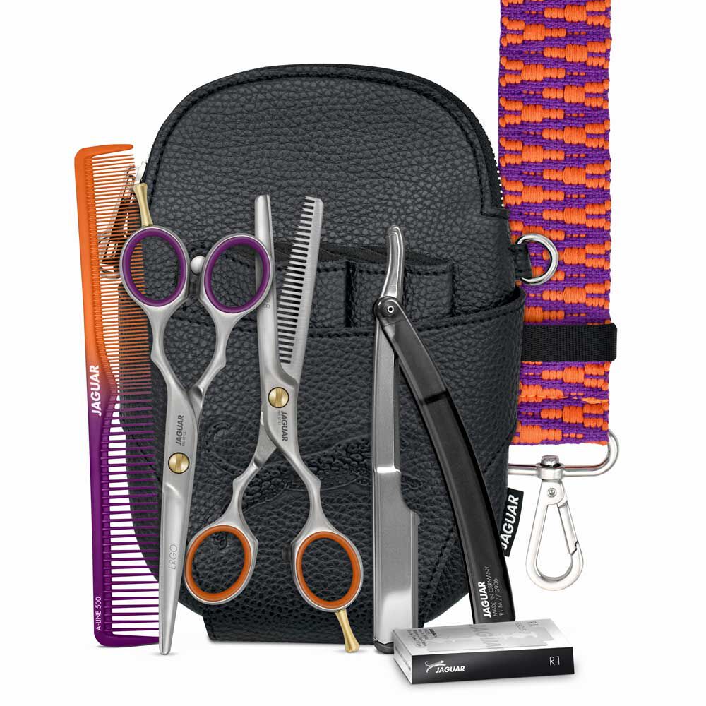 Jaguar Scissors Basic Set The Stage Is Yours Ergo 5.5 Jaguar Scissors Basic Set The Stage Is Yours Ergo 5.5