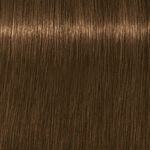 Schwarzkopf Professional Igora Royal Absolutes Permanent Haarfarbe 60ml 7-140