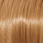 Schwarzkopf Professional Igora Royal Absolutes Permanent Haarfarbe 60ml 9-60