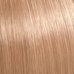 Wella Professionals Illumina Permanent Haarfarbe 60ml 8/05