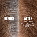 Wella Professionals Color Xpress - Vegan Xpress Touch-up Dunkelblond Natur Braun 6/07 60ml