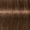 6.46 Dark Blonde Beige Chocolate