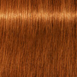 Schwarzkopf Professional Igora Royal Absolutes Permanent Haarfarbe 60ml 7-70