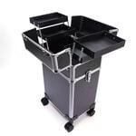 S-PRO Phoenix Trolley-Koffer Schwarz/Silber