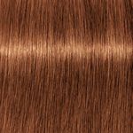 Schwarzkopf Professional Igora Royal Take Over 7-76 Mittelblond Kupfer Schokolade 60ml