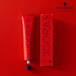 Schwarzkopf Professional Igora Royal Take Over 9.5-31 Pastell Mint Beige 60ml