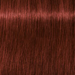 Schwarzkopf Professional Igora Royal Absolutes Permanent Haarfarbe 60ml 6-80