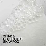 Redken Acidic Colour Gloss Shampoo 300ml