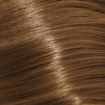 Goldwell Topchic Hair Color 60ml 8B
