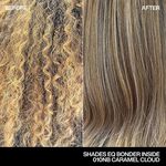 Redken Shades EQ Bonder Inside  010NB Caramel Cloud 60ml