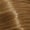 9.33 Very Light Blonde Deep Gold