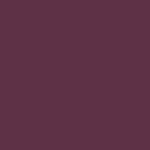 Wunderbar Color Refresh Shampoo Violett 200ml