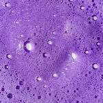 Unite Hair BLONDA Violett-Tonendes Shampoo 236ml