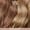 Beige Blond
