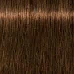 Schwarzkopf Professional Igora Royal Absolutes Permanent Haarfarbe 60ml 6-50