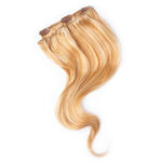 Wildest Dreams Clip-In Extensions 1pc 46cm Gerade