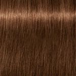 Schwarzkopf Professional Igora Royal Absolutes Permanent Haarfarbe 60ml 6-460