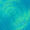 Feel Bluetiful
