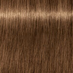 Schwarzkopf Professional Igora Royal Absolutes Permanent Haarfarbe 60ml 7-50