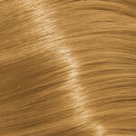 Goldwell Topchic Hair Color 60ml 10GB