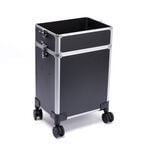 S-PRO Phoenix Trolley-Koffer Schwarz/Silber