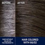Wella Professionals Koleston Perfect Permanente Haarfarbe 60ml 66/02