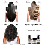L'Or&eacute;al Professionnel S&eacute;rie Expert Absolute Repair Molecular Bi-Phase Haar&ouml;l 90ml