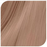 Revlonissimo Colorsmetique Kühle Töne 60ml