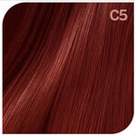 Revlon Revlonissimo Colorsmetique Rott&ouml;ne 60ml